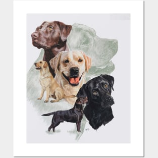 Labrador Medley Posters and Art